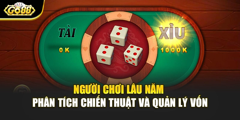 Người chơi lâu năm phân tích chiến thuật và quản lý vốn